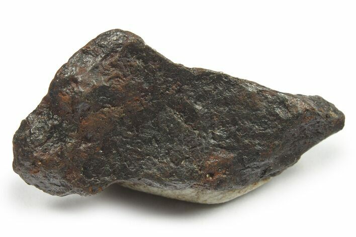 Canyon Diablo Iron Meteorite ( g) - Arizona #270539